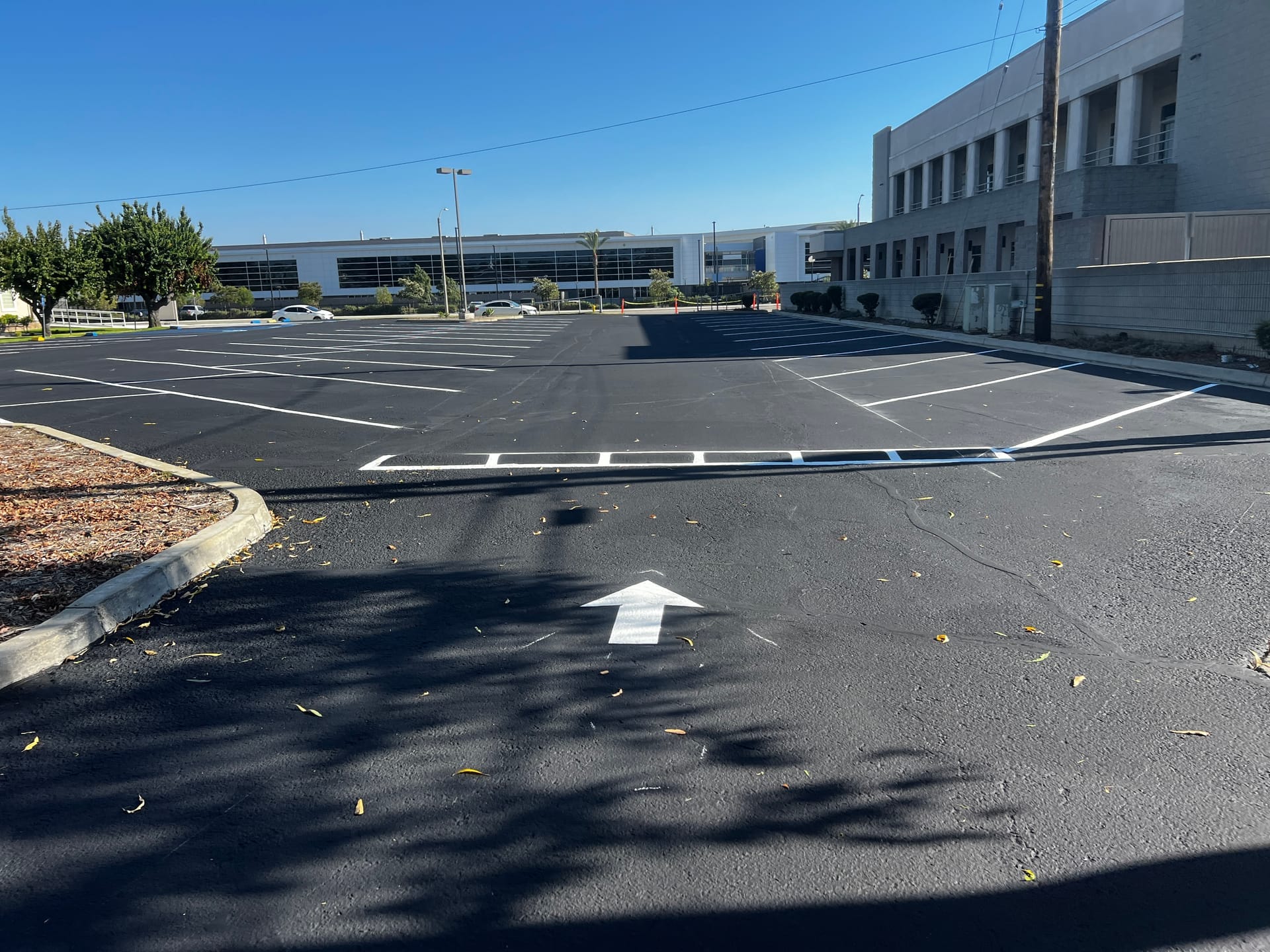 Parking stall markings