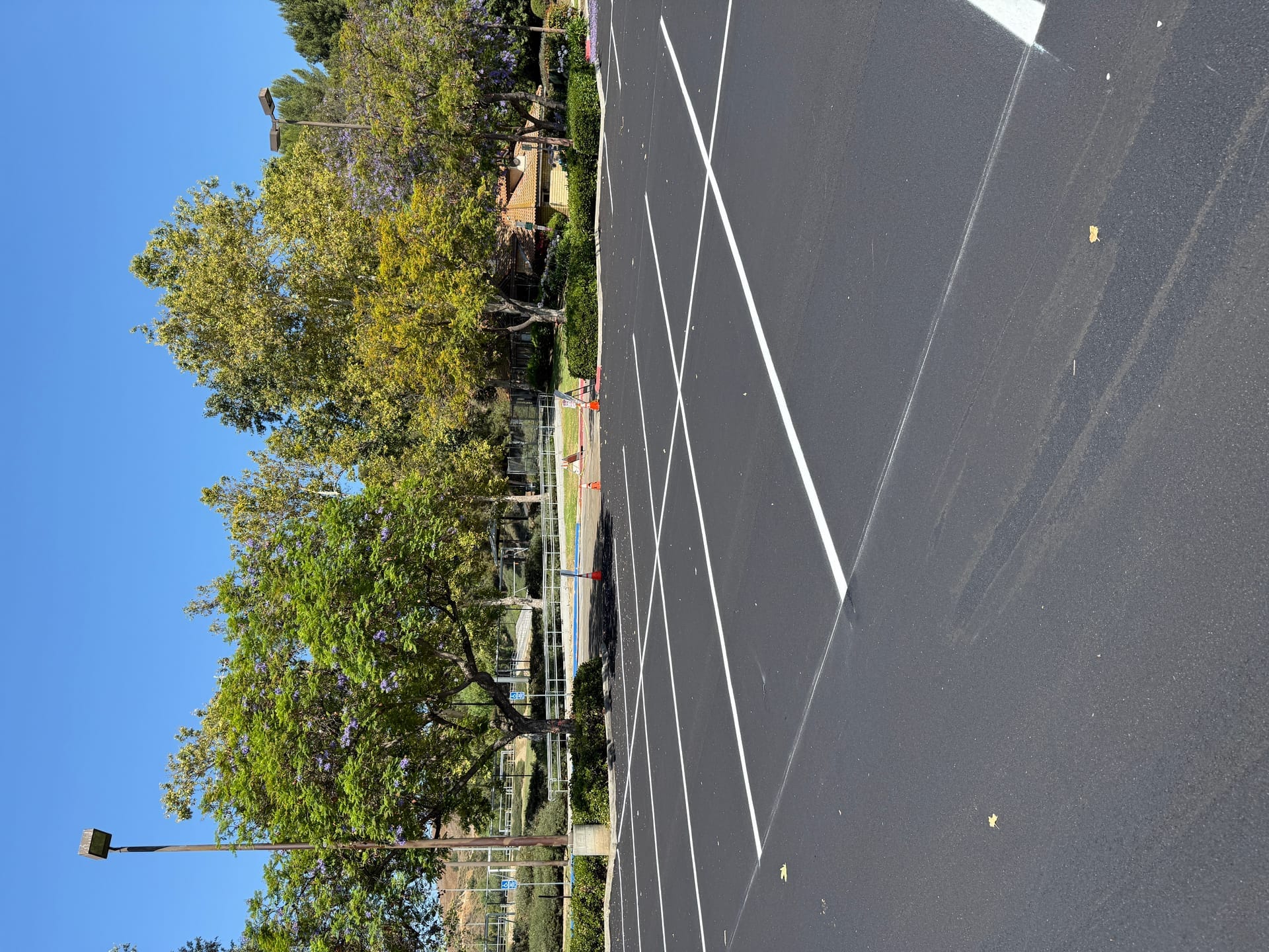 Professional parking stall lines